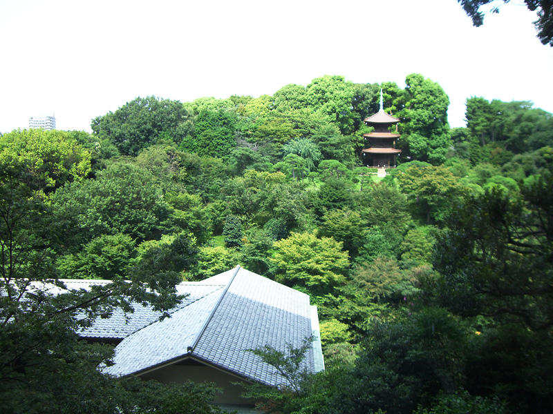 ファイル 166-2.jpg